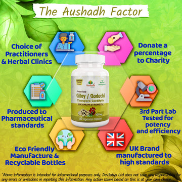 Capsule Giloy Guduchi (Tinospora Cordifolia)