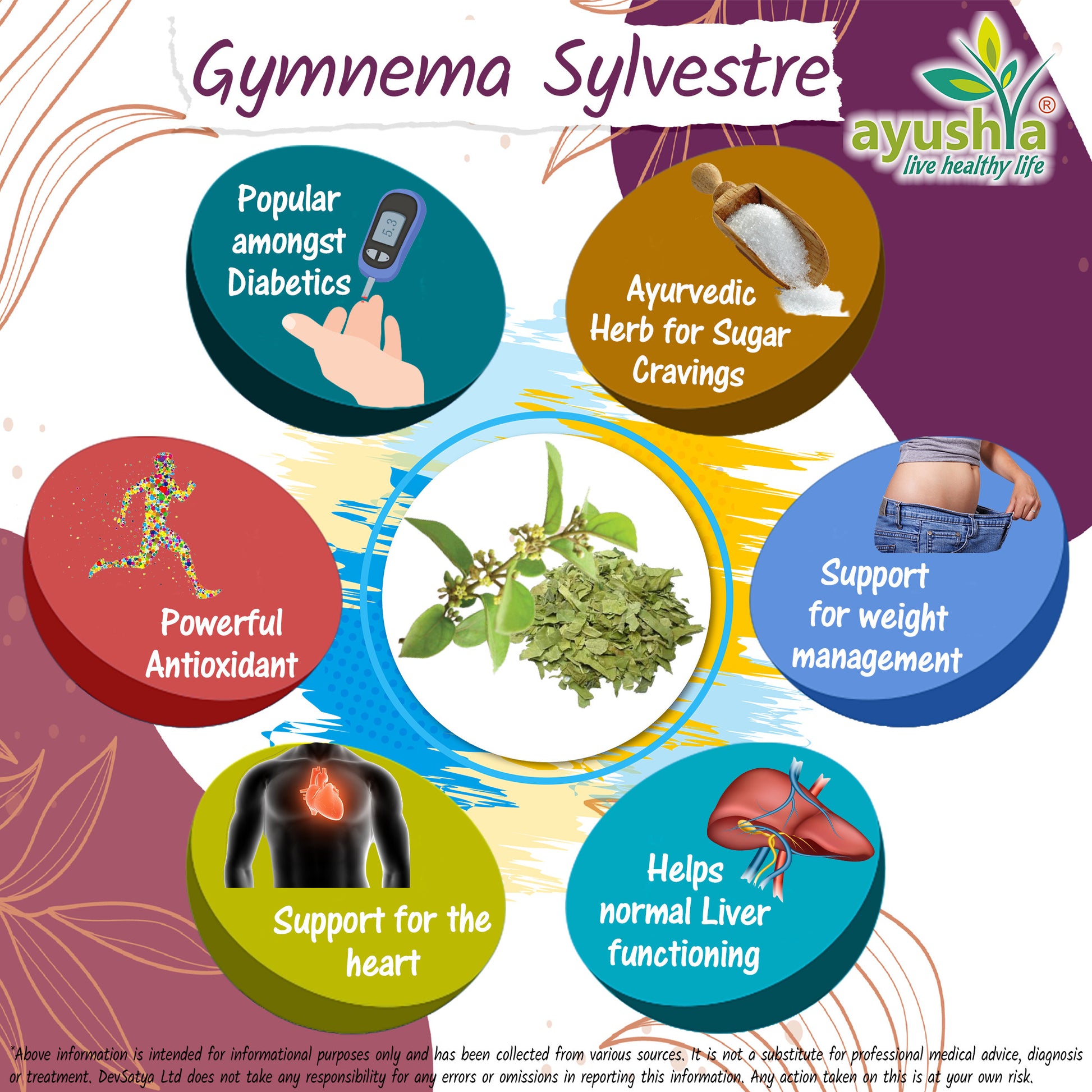 Gymnema Sylvestre Madhunaashini CapsuleHerb Benefit