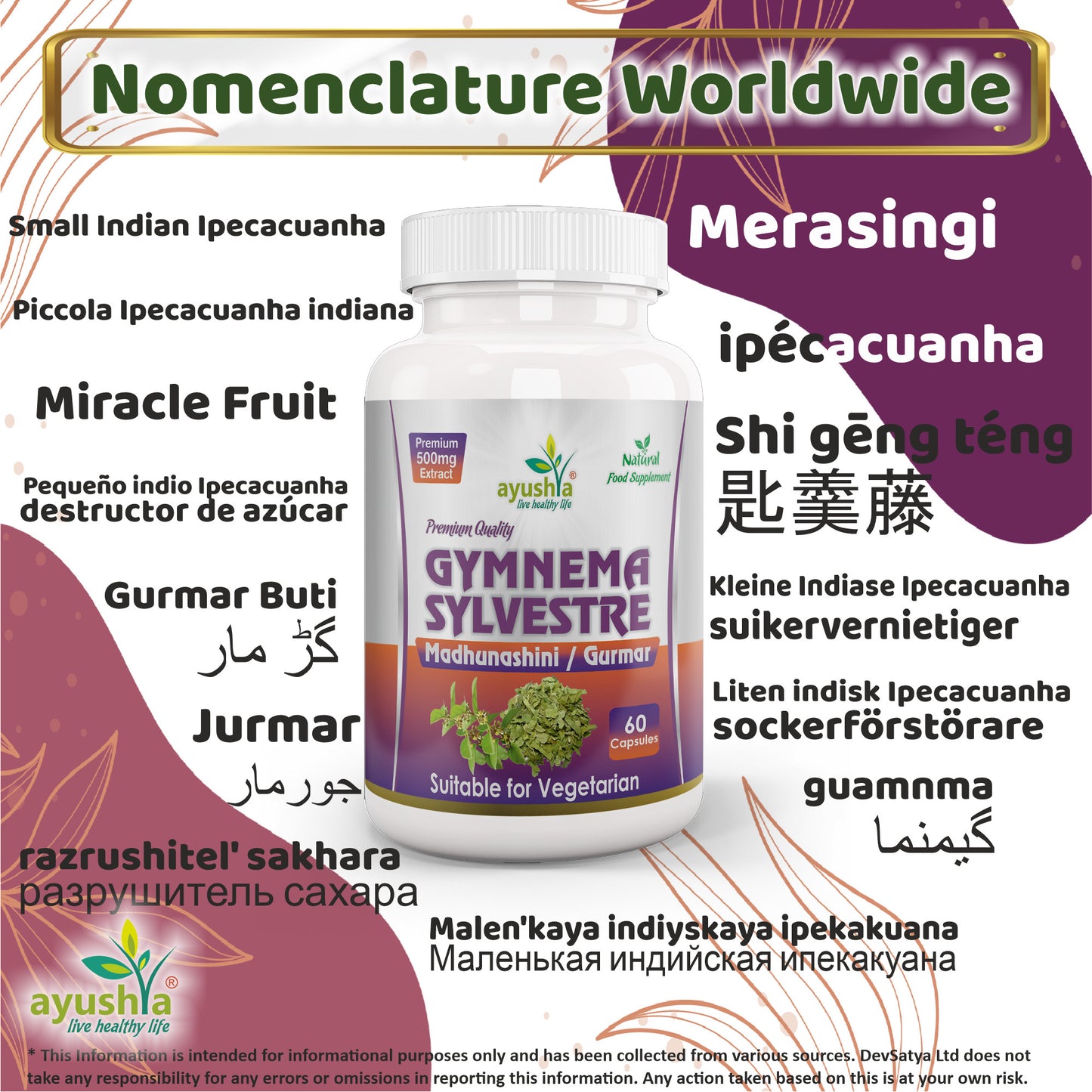 Gymnema Sylvestre Madhunaashini Capsule Synonyms Vernacular Names