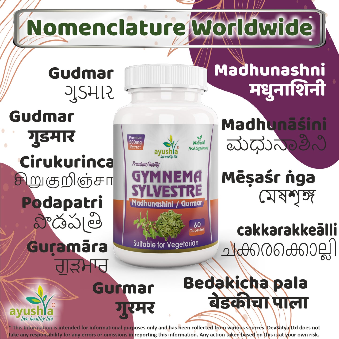 Gymnema Sylvestre Madhunaashini Capsule Regional Names Synonyms 