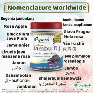 DivyaHerb Jambu Bij Powder 100 gram - Daily Wellness Support