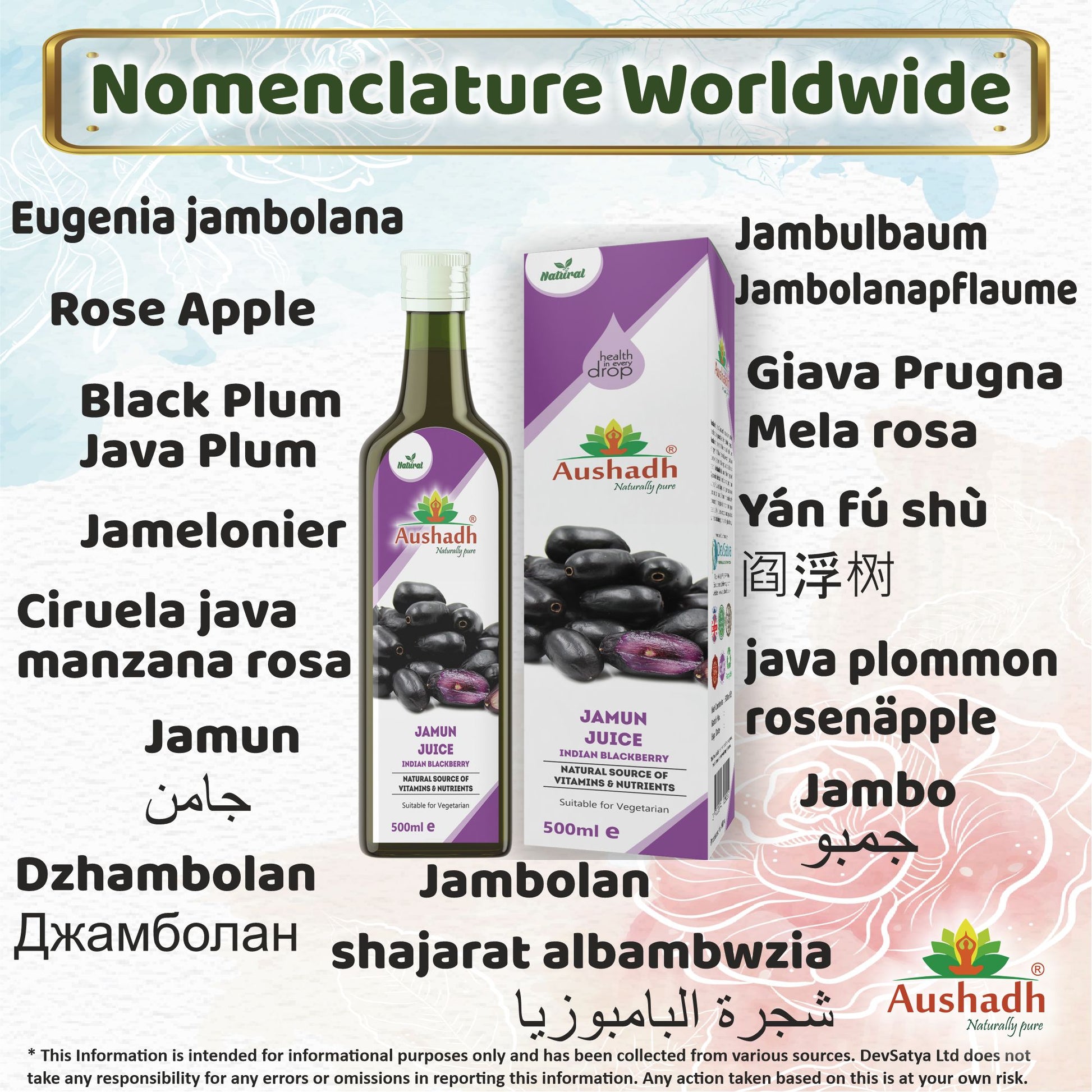 Jamun Juice Indian Blackberry Synonyms Vernacular Names