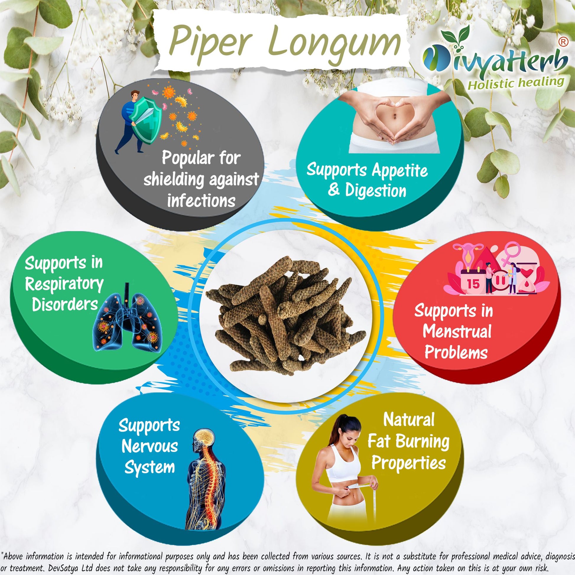 Long Pepper Powder Piper Longum Pippali Lindi Piper Herb Benefit