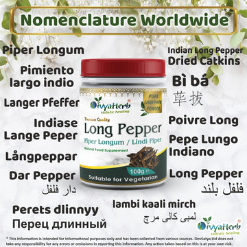 Long Pepper Powder Piper Longum Pippali Lindi Piper Synonyms Vernacular Names