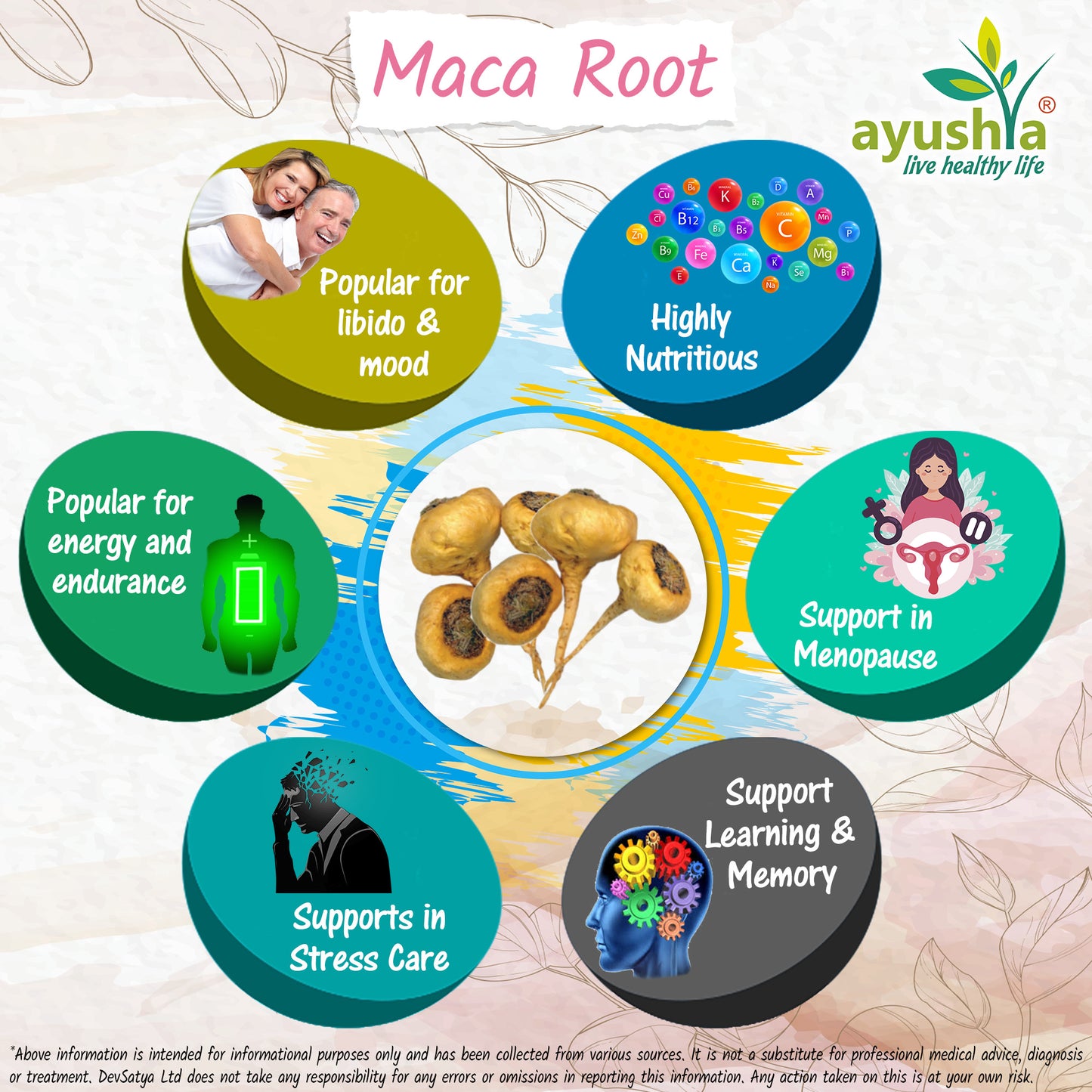 Maca Root Capsule Herb Benefit