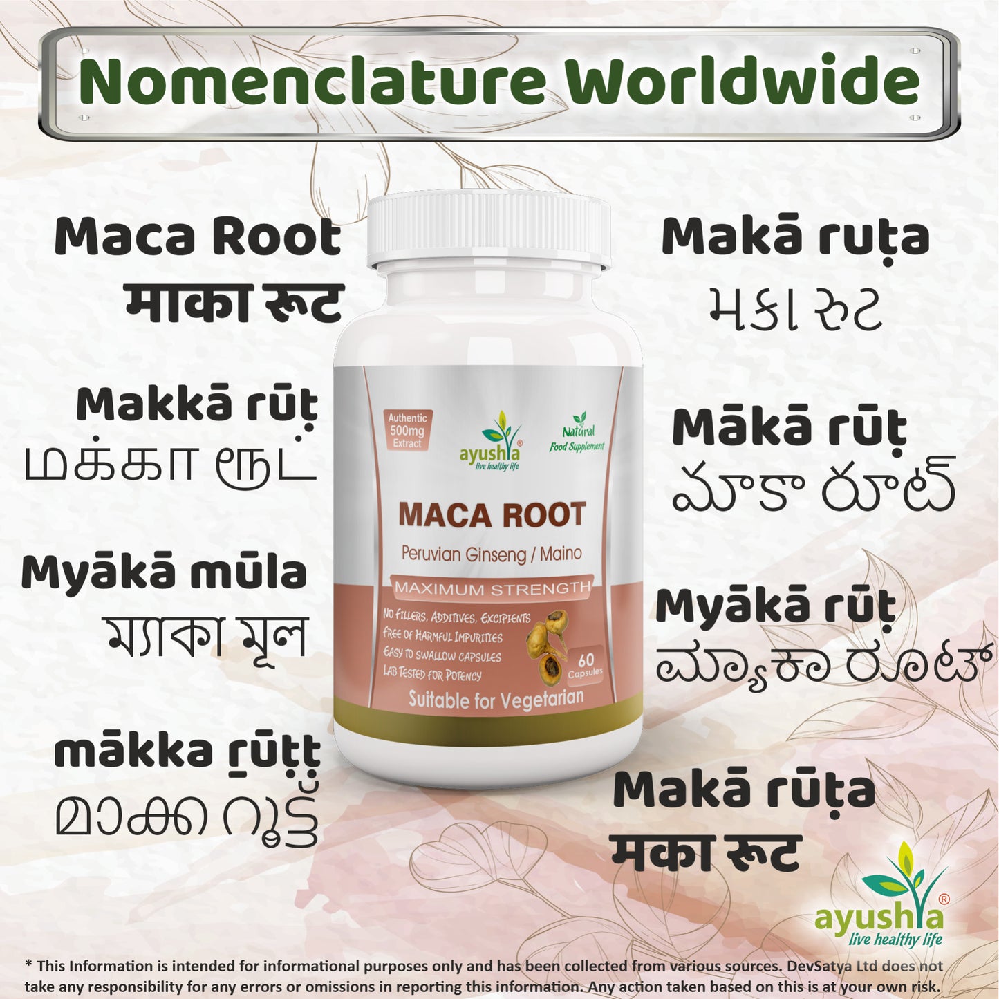 Maca Root Capsule Regional Names Synonyms 