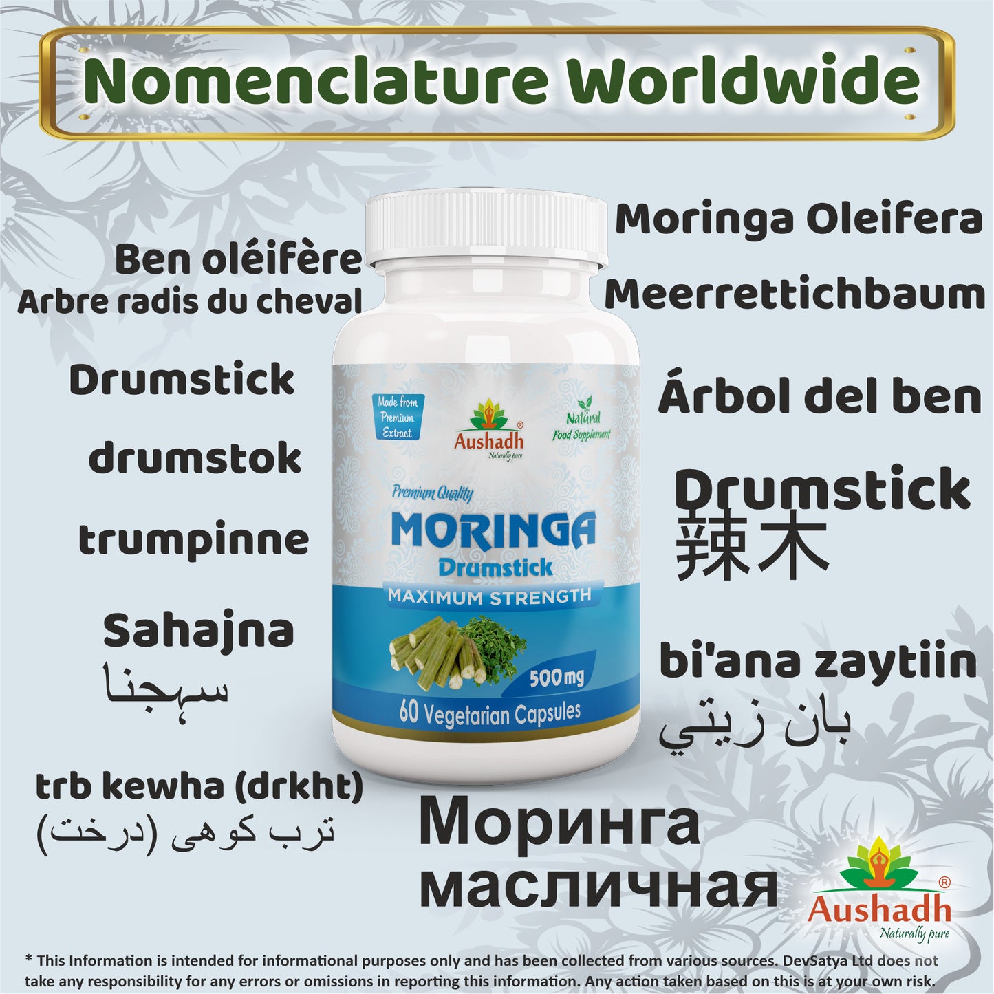 Moringa Oleifera Drumstick Capsule Synonyms Vernacular Names