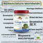 Moringa Oleifera (Drumstick) Powder