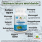 Moringa Oleifera Drumstick Capsule Regional Names Synonyms 