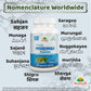 Moringa Oleifera Drumstick Capsule Regional Names Synonyms
