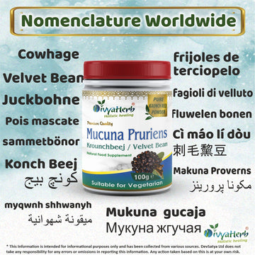 Polvo de mucuna pruriens