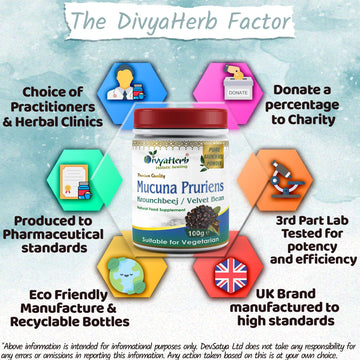 Polvo de mucuna pruriens