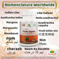 Neem Margosa Capsule Synonyms Vernacular Names