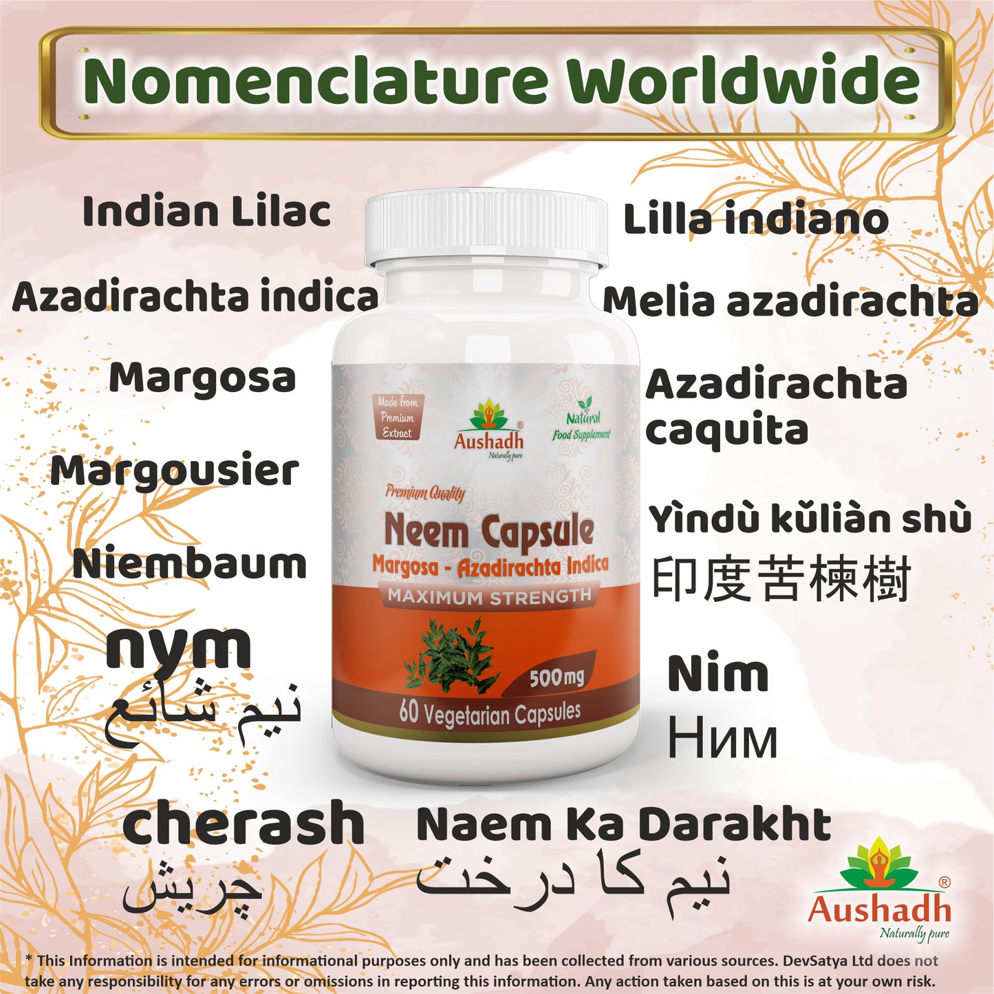 Neem Margosa Capsule Synonyms Vernacular Names