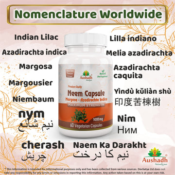 Capsule de Neem (Margosa)