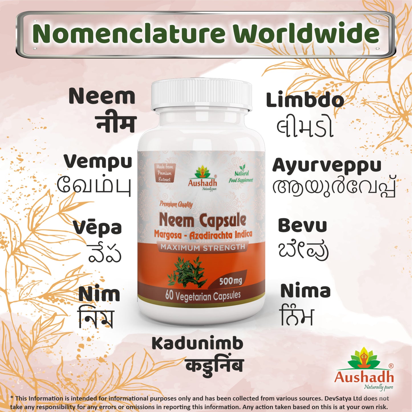 Neem Margosa Capsule Regional Names Synonyms 