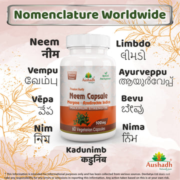 Neem Margosa Capsule Regional Names Synonyms 