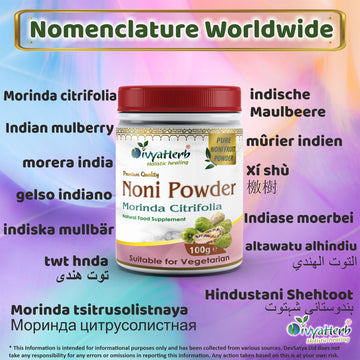 Noni Powder Synonyms Vernacular Names