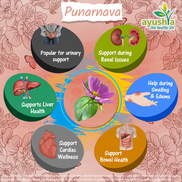 Punarnava Capsule Boerhavia DiffusaHerb Benefit