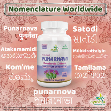 Punarnava Capsule Boerhavia Diffusa Regional Names Synonyms 