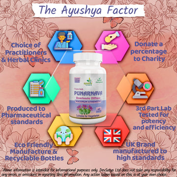 Punarnava Capsule Boerhavia DiffusaWhy DevSatya Aushadh Ayushya DvyaHerb