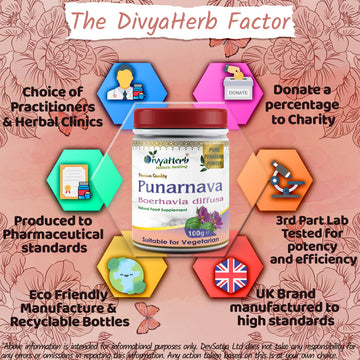 Punarnava Powder Boerhavia Diffusa Why DevSatya Aushadh Ayushya DvyaHerb