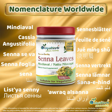 Senna Leaves Powder Mindiaval Synonyms Vernacular Names