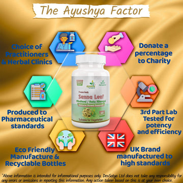 Capsule de feuille de séné (Cassia angustifolia)