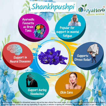 Poudre de Shankpushpi