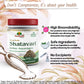 Shatavari Powder Bioavailability