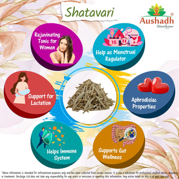 Shatavari Powder Herb Benefit