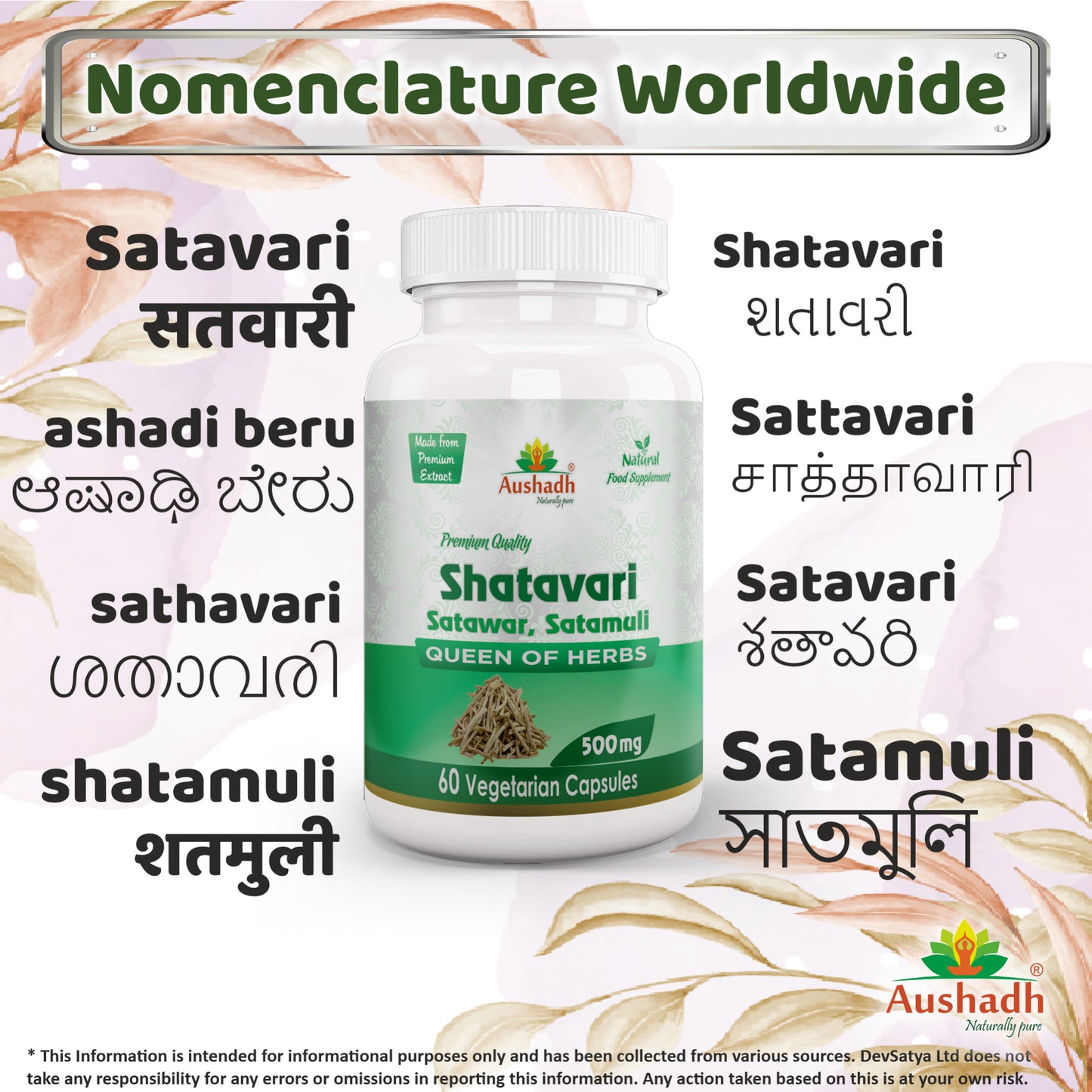 Shatavari Capsule Regional Names Synonyms 