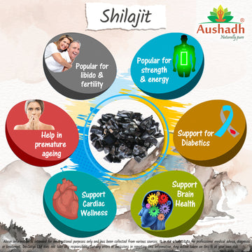 Shilajit CapsuleHerb Benefit