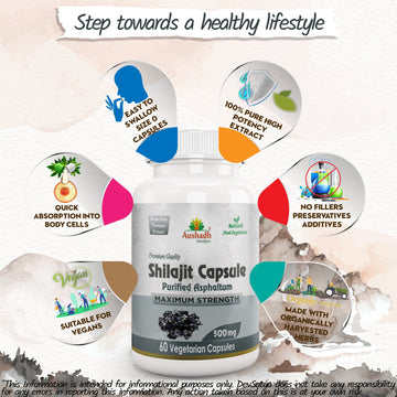 Capsule Shilajit