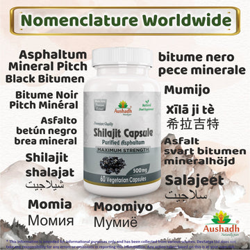 Capsule Shilajit