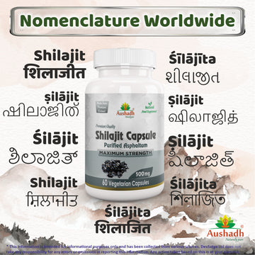 Shilajit Capsule Regional Names Synonyms 