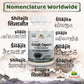 Shilajit Capsule Regional Names Synonyms