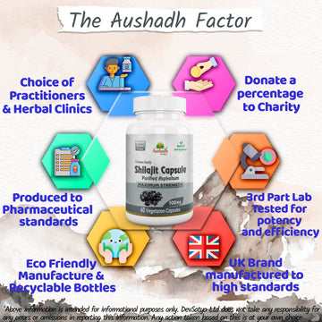 Shilajit CapsuleWhy DevSatya Aushadh Ayushya DvyaHerb