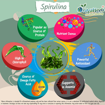 Spiruline en poudre