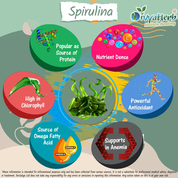 Spirulina Powder Herb Benefit