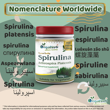 Spiruline en poudre