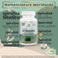 Spirulina Capsule Regional Names Synonyms