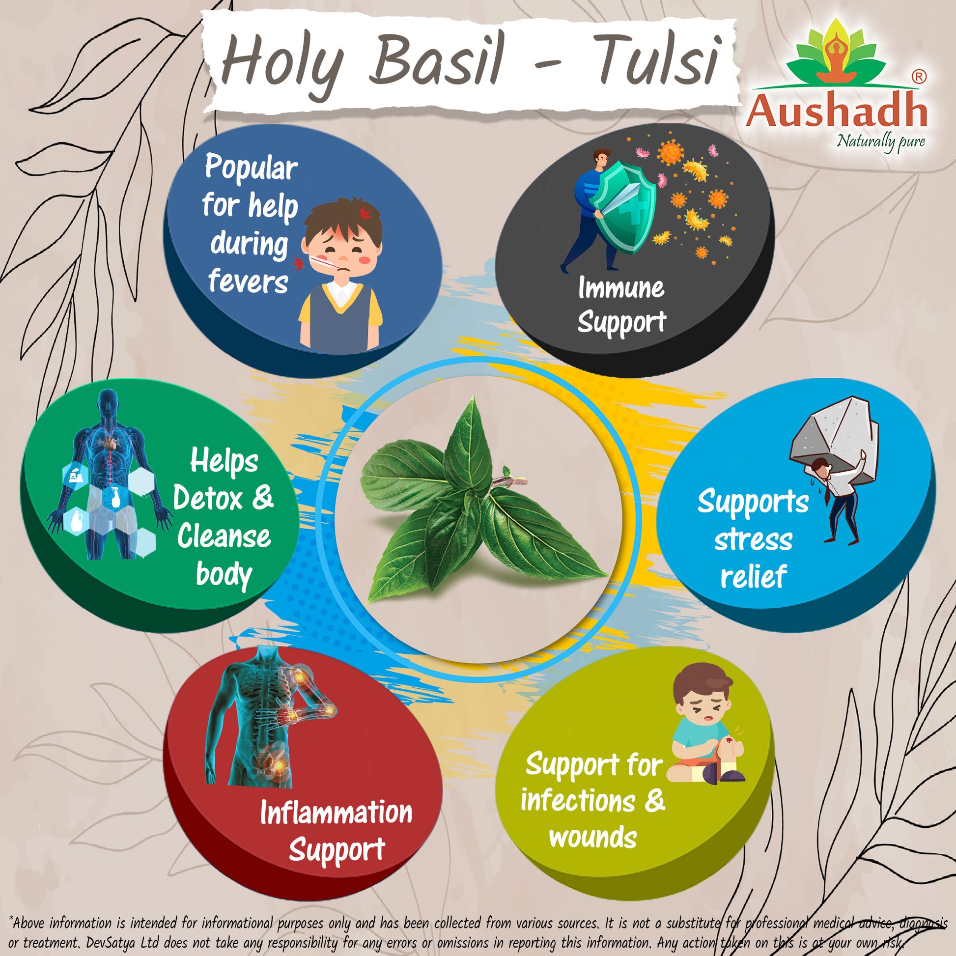 Holy Basil Tulsi CapsuleHerb Benefit