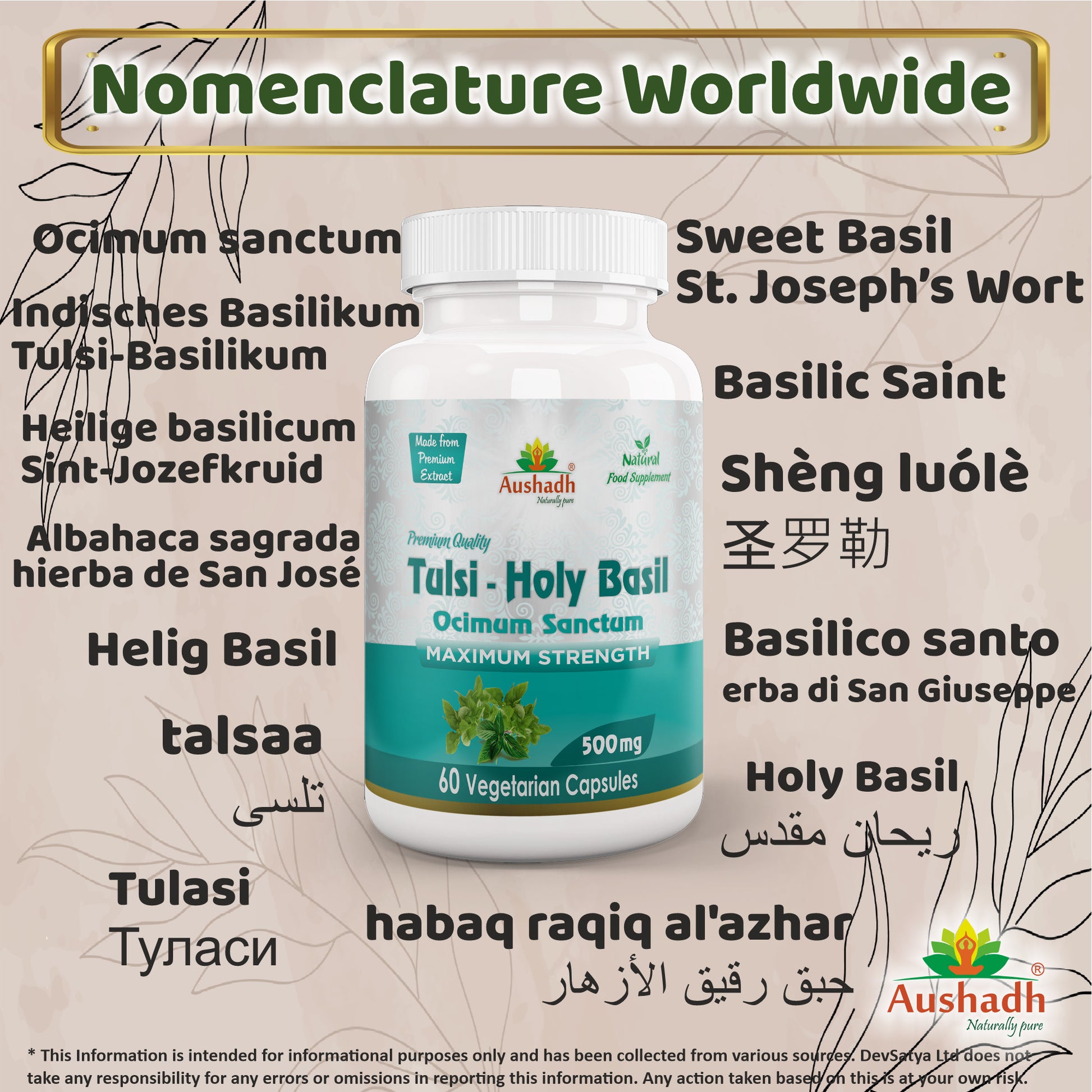 Holy Basil Tulsi Capsule Synonyms Vernacular Names