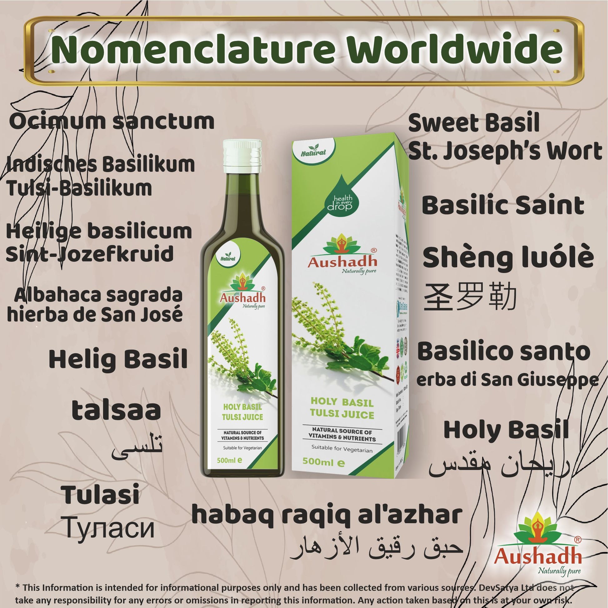 Holy Basil Tulsi Juice Synonyms Vernacular Names