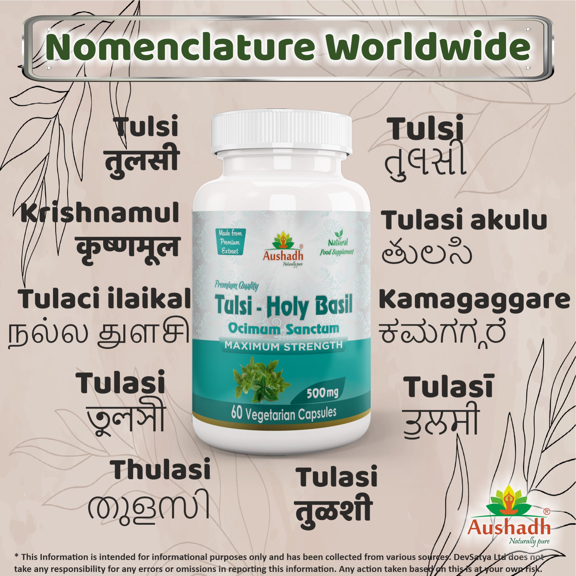 Holy Basil Tulsi Capsule Regional Names Synonyms 