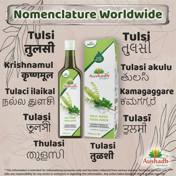 Holy Basil Tulsi Juice Regional Names Synonyms 