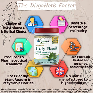 DivyaHerb Holy Basil Powder 100 gram - Seasonal Wellness Support