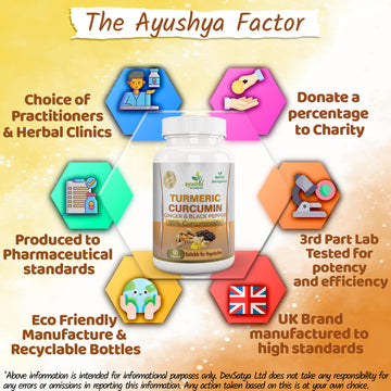 Turmeric with Ginger and Black pepper Capsule Why DevSatya Aushadh Ayushya DvyaHerb