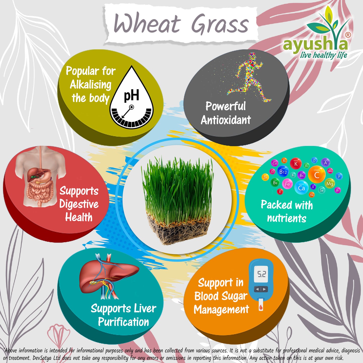 Wheat Grass Capsule Herb Benefit